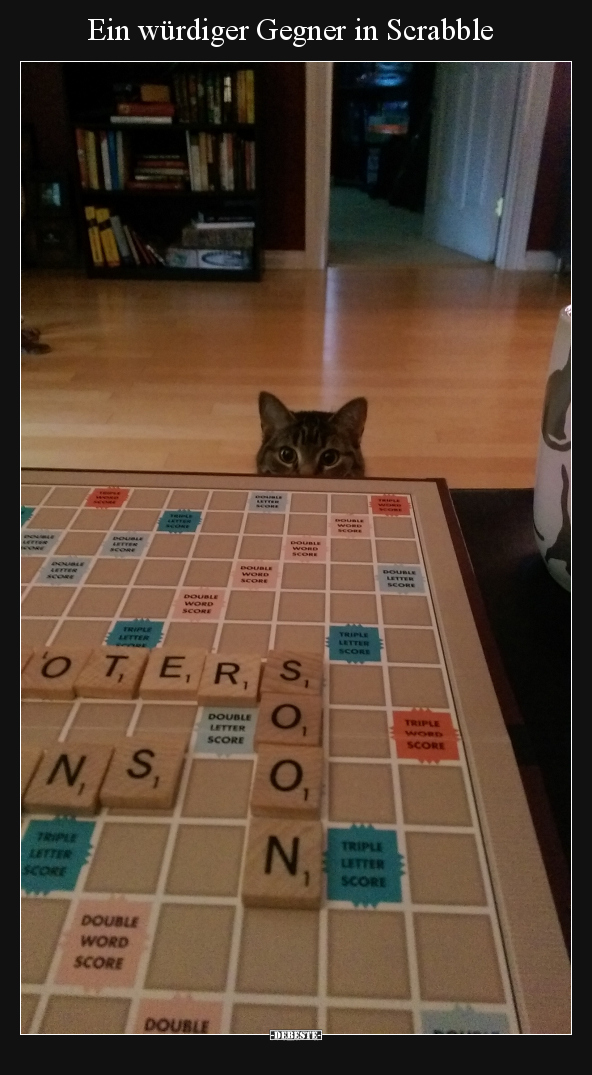 Ein würdiger Gegner in Scrabble.. - Lustige Bilder | DEBESTE.de