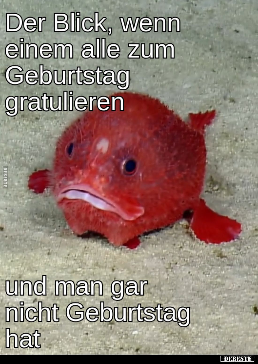 Der Blick, wenn einem alle zum Geburtstag gratulieren, 

und man gar nicht Geburtstag hat