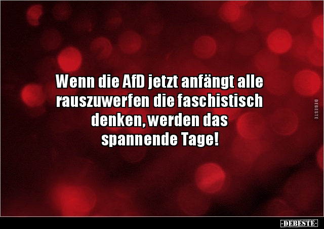 Wenn die AfD jetzt anfängt alle rauszuwerfen die.. - Lustige Bilder | DEBESTE.de