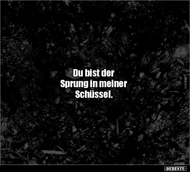 Du bist der 
Sprung in meiner 
Schüssel.