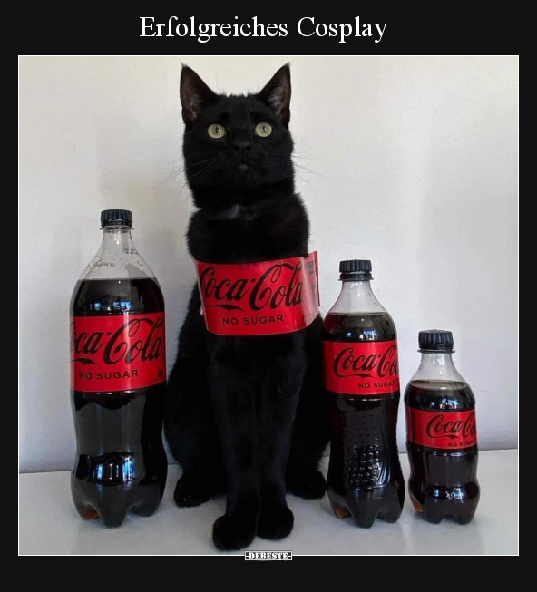 Cosplay, Katzen