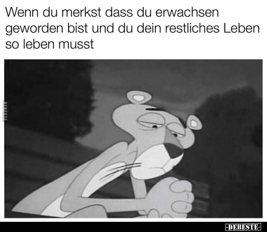 Wenn du merkst dass du erwachsen geworden bist und du dein.. - Lustige Bilder | DEBESTE.de