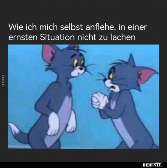 Wie ich mich selbst anflehe, in einer ernsten Situation.. - Lustige Bilder | DEBESTE.de