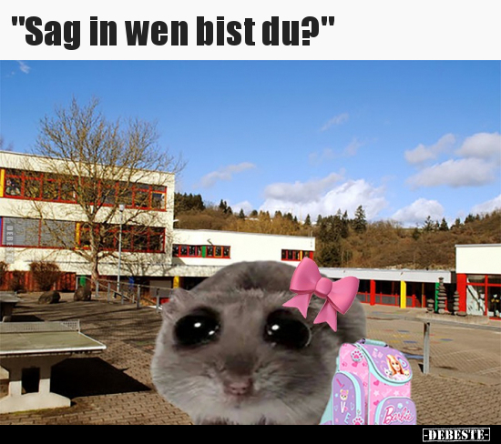 "Sag in wen bist du?".. - Lustige Bilder | DEBESTE.de