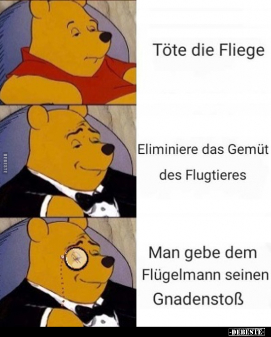 Töte die Fliege.. - Lustige Bilder | DEBESTE.de