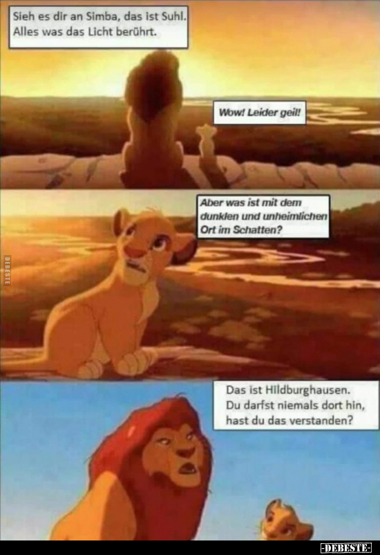 Sieh es dir an Simba, das ist Suhl. Alles was das Licht..