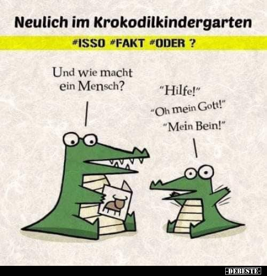 Neulich im Krokodilkindergarten.. - Lustige Bilder | DEBESTE.de