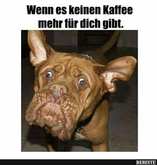 Wenn Es Keinen Kaffee Mehr Fur Dich Gibt Lustige Bilder Spruche Witze Echt Lustig