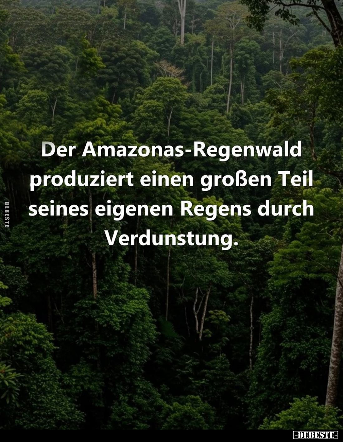 Der Amazonas-Regenwald produziert einen großen Teil seines eigenen Regens durch Verdunstung.
