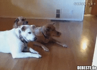 Wenn der Chef den Raum betritt...