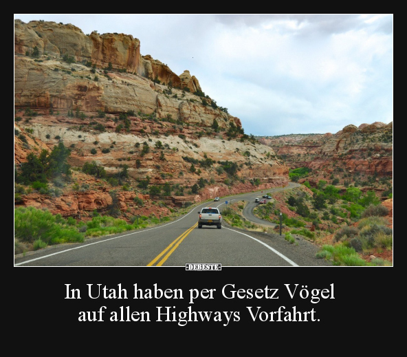 In Utah haben per Gesetz Vögel auf allen Highways.. - Lustige Bilder | DEBESTE.de