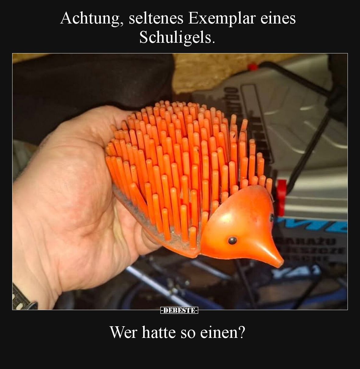 Achtung, seltenes Exemplar eines Schuligels. Wer hatte so einen?