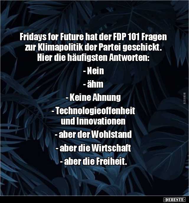 Fridays for Future hat der FDP 101 Fragen zur Klimapolitik.. - Lustige Bilder | DEBESTE.de