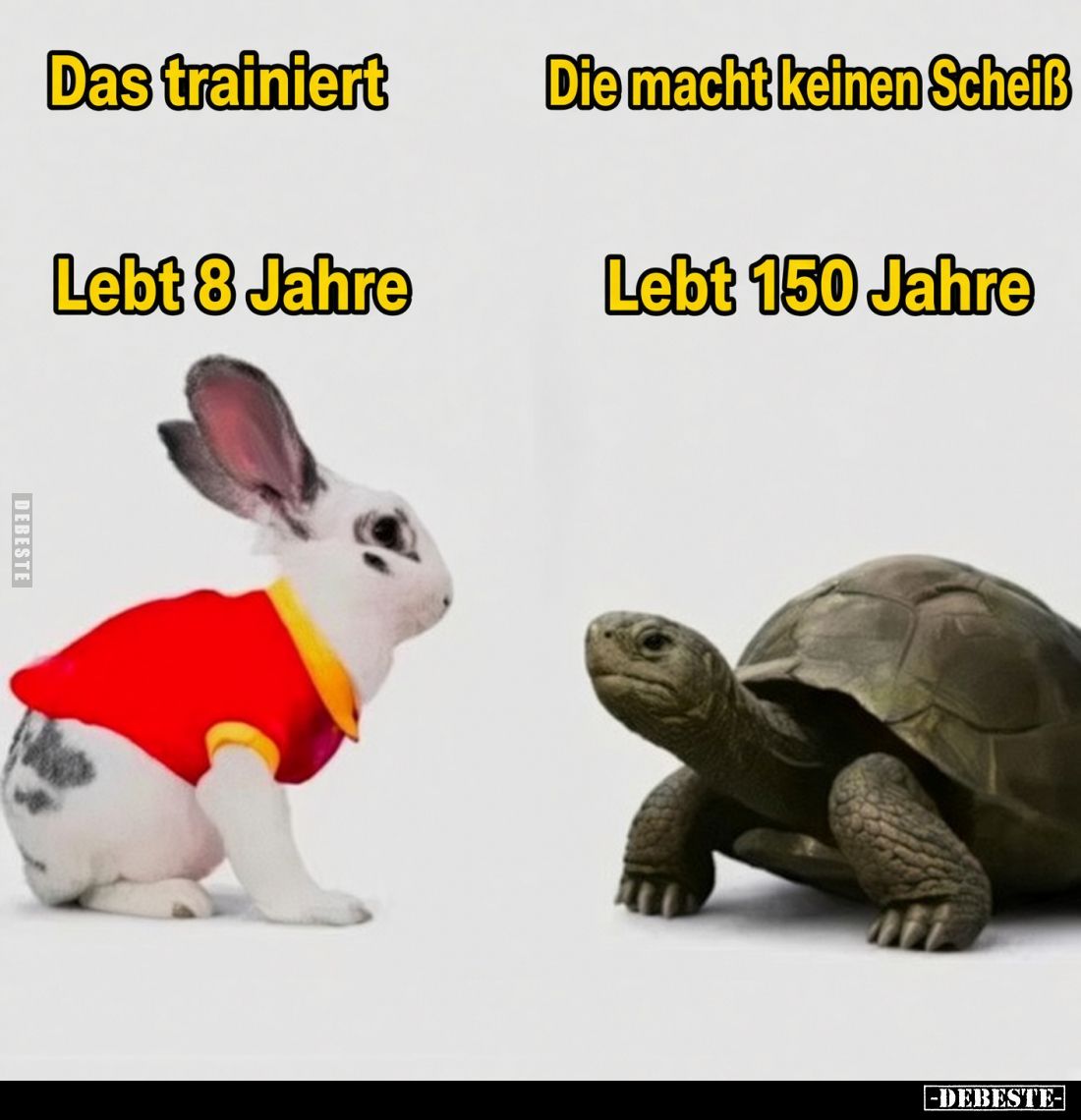  - Lustige Bilder | DEBESTE.de