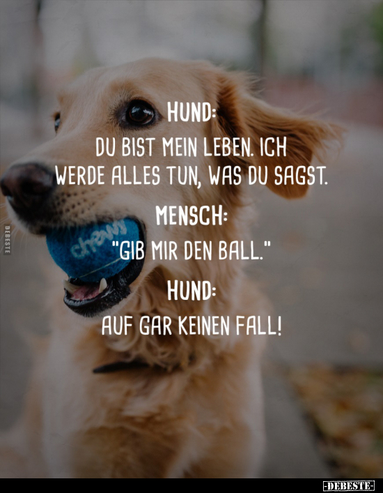 Hund: Du bist mein Leben... - Lustige Bilder | DEBESTE.de