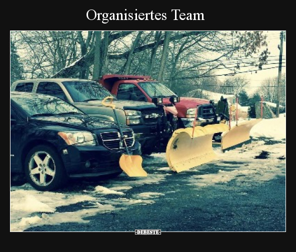 Organisiertes Team.. - Lustige Bilder | DEBESTE.de