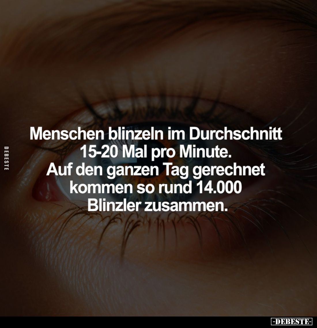 Menschen blinzeln im Durchschnitt 15-20 Mal pro Minute.
Auf den ganzen Tag gerechnet kommen so rund 14.000 Blinzler zusammen...