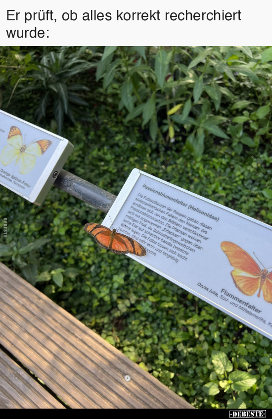 Er prüft, ob alles korrekt recherchiert wurde.