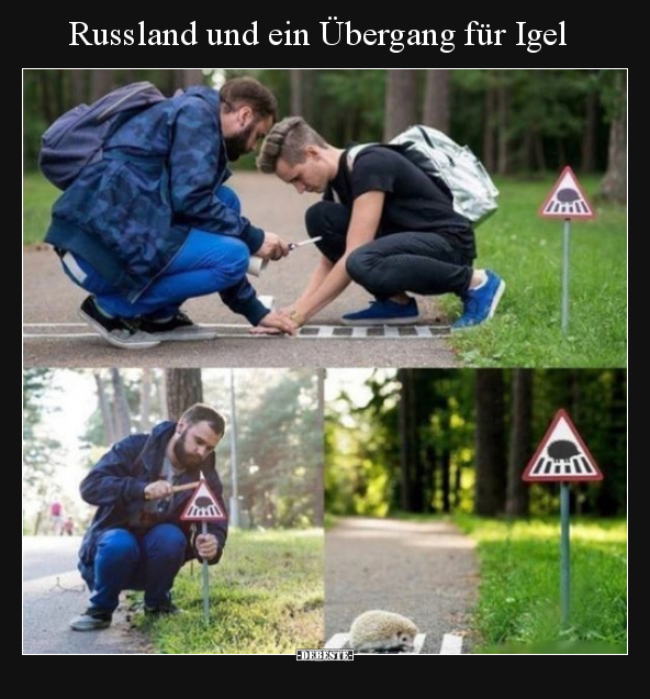 Russland und ein Übergang für Igel..