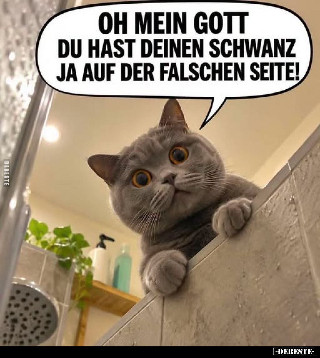 Oh mein Gott du hast deinen Schwanz ja auf der falschen Seite!