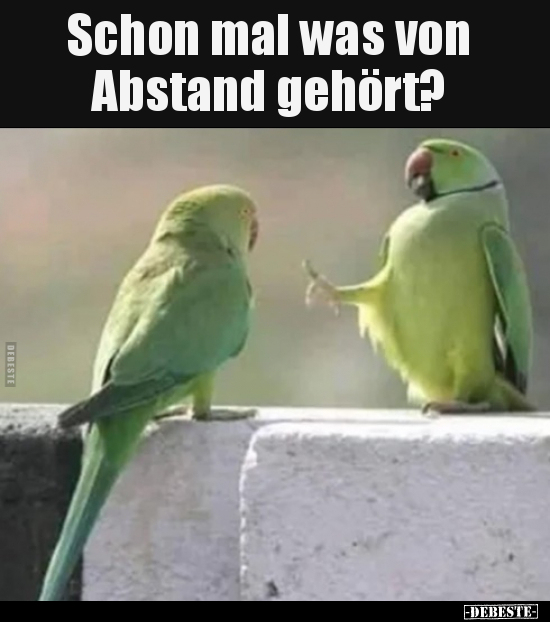 Schon mal was von Abstand gehört?.. - Lustige Bilder | DEBESTE.de