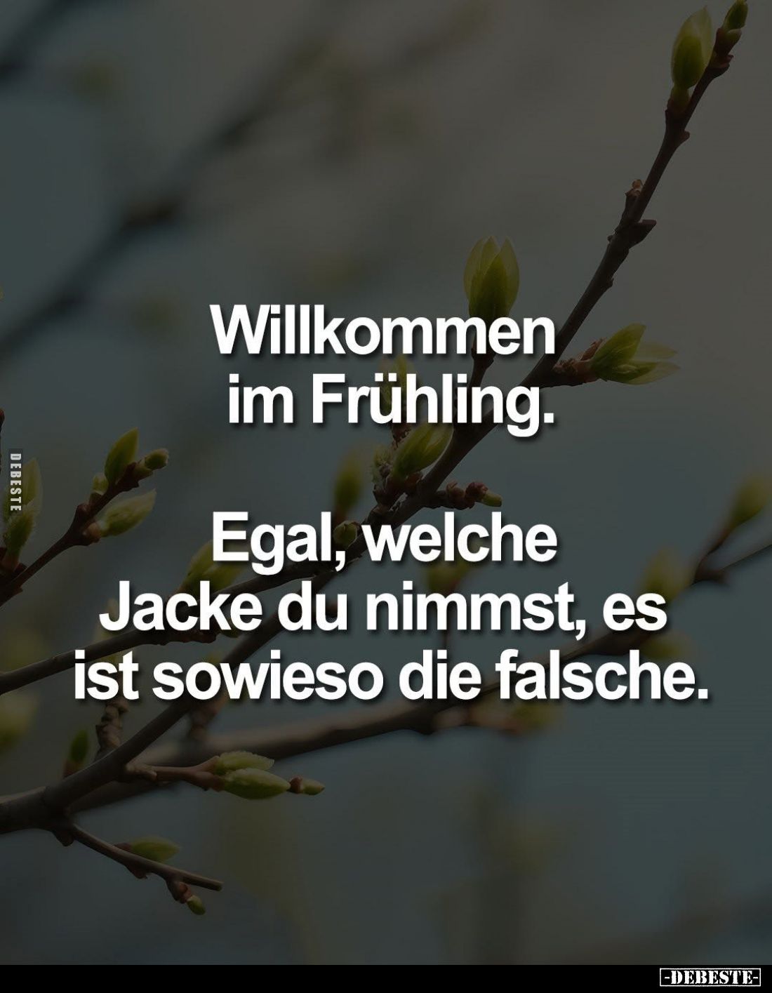 Willkommen im Frühling... - Lustige Bilder | DEBESTE.de