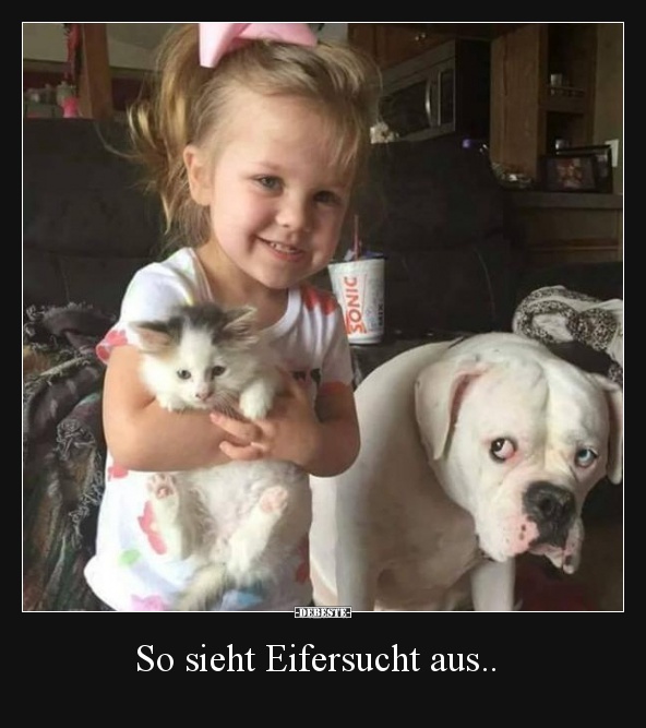 So sieht Eifersucht aus..