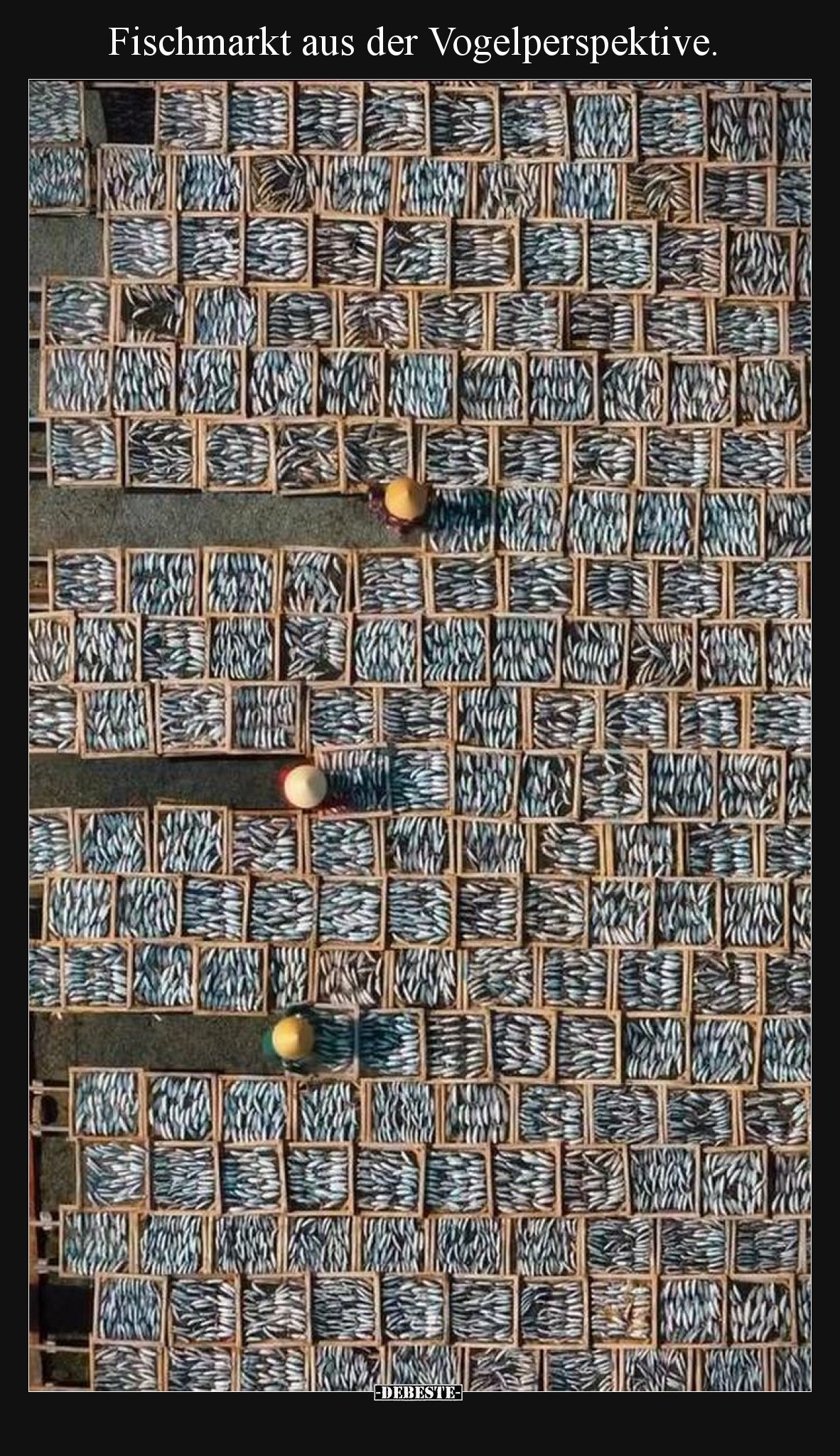 Fischmarkt aus der Vogelperspektive