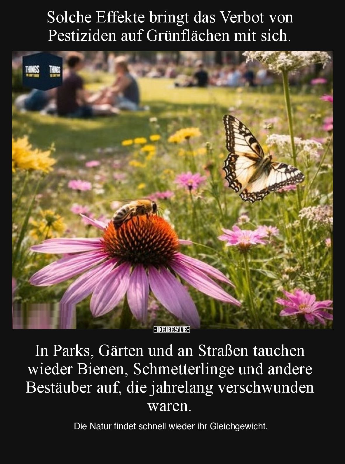 Solche Effekte bringt das Verbot von Pestiziden auf.. - Lustige Bilder | DEBESTE.de