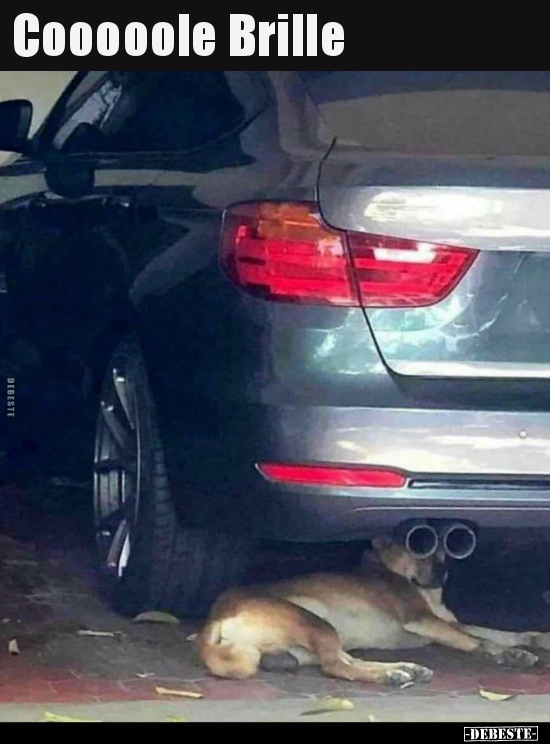 Cooooole Brille..