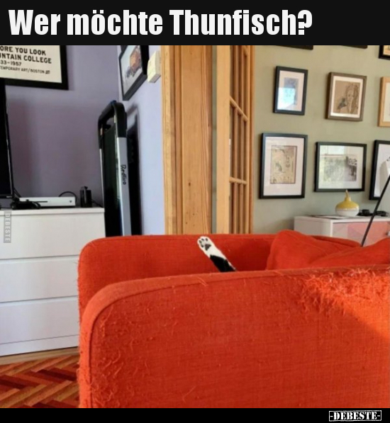 Wer möchte Thunfisch?.. - Lustige Bilder | DEBESTE.de