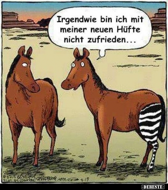 Irgendwie bin ich mit meiner neuen Hüfte nicht..