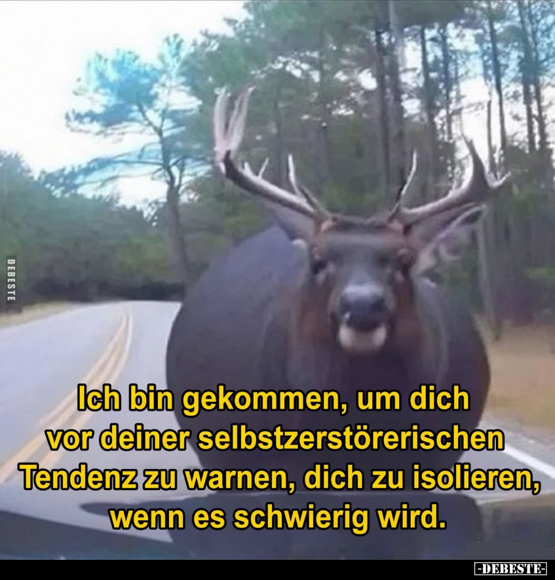 Ich bin gekommen, um dich vor deiner selbstzerstörerischen Tendenz zu warnen, dich zu isolieren, wenn es schwierig wird.