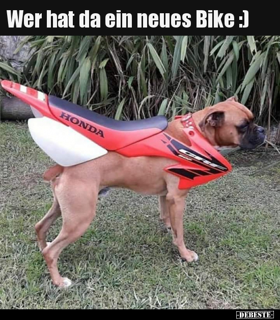 Wer hat da ein neues Bike :)..