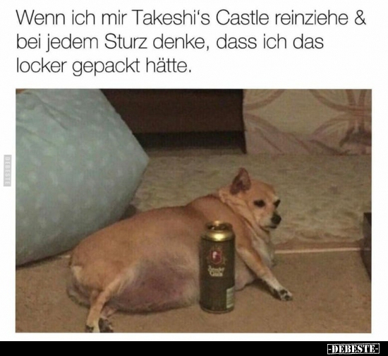 Wenn ich mir Takeshi's Castle reinziehe & bei jedem Sturz..