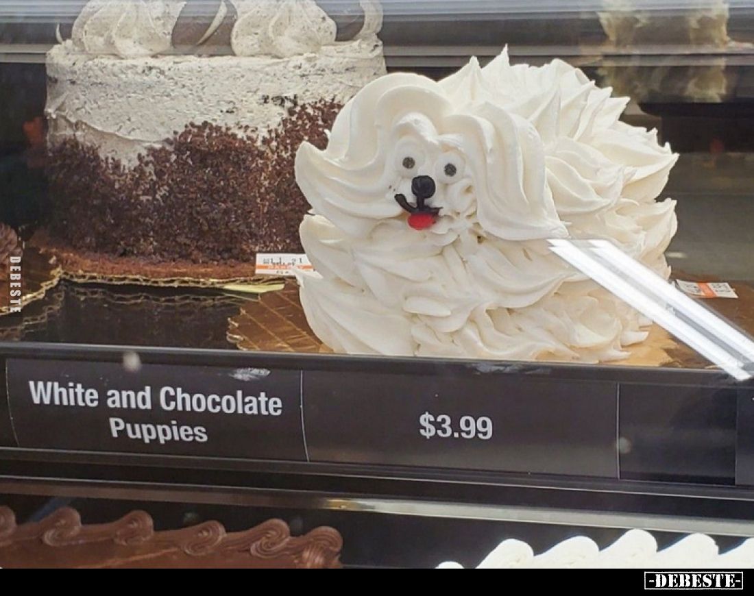 White and Chocolate Puppies