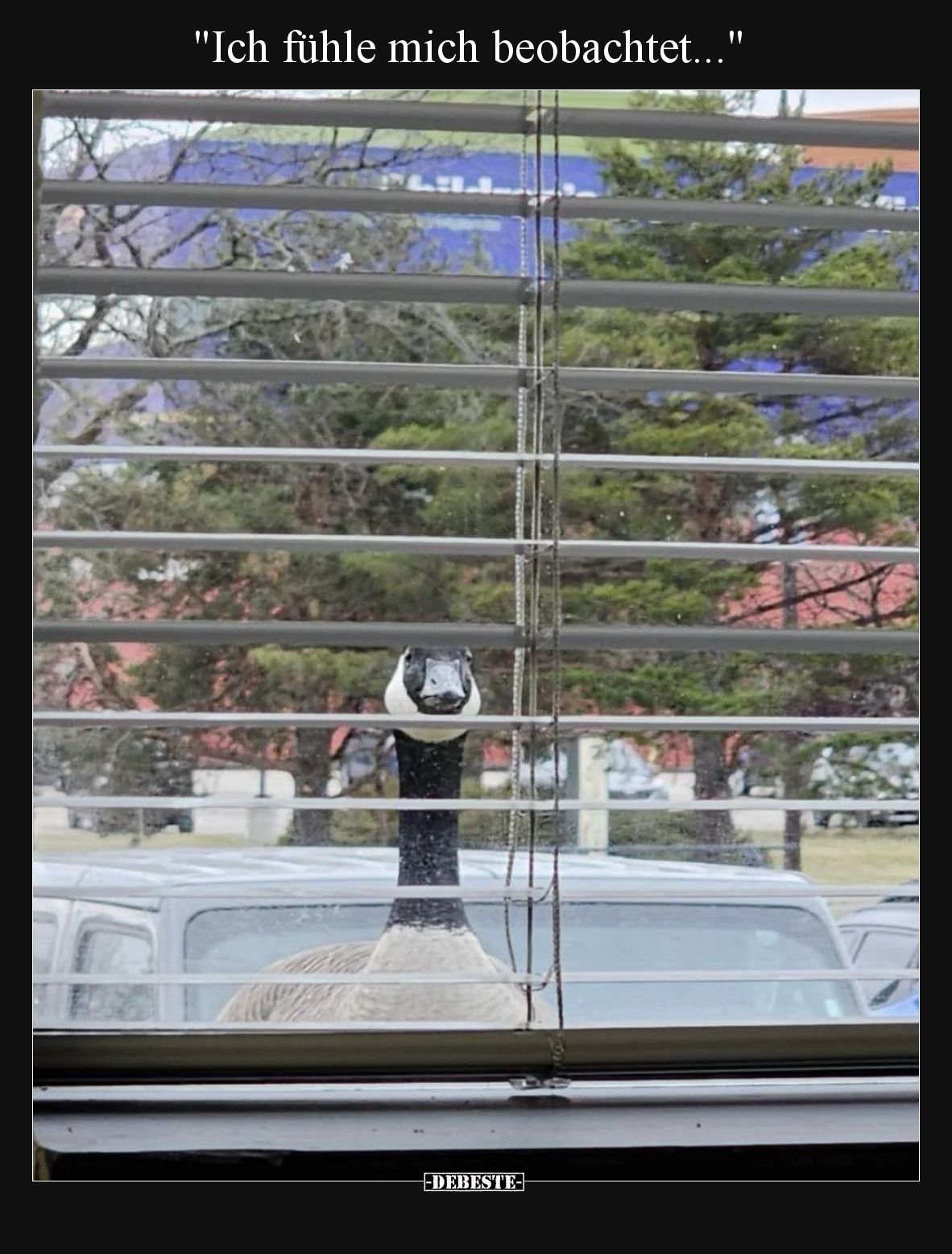Ich fühle mich beobachtet.