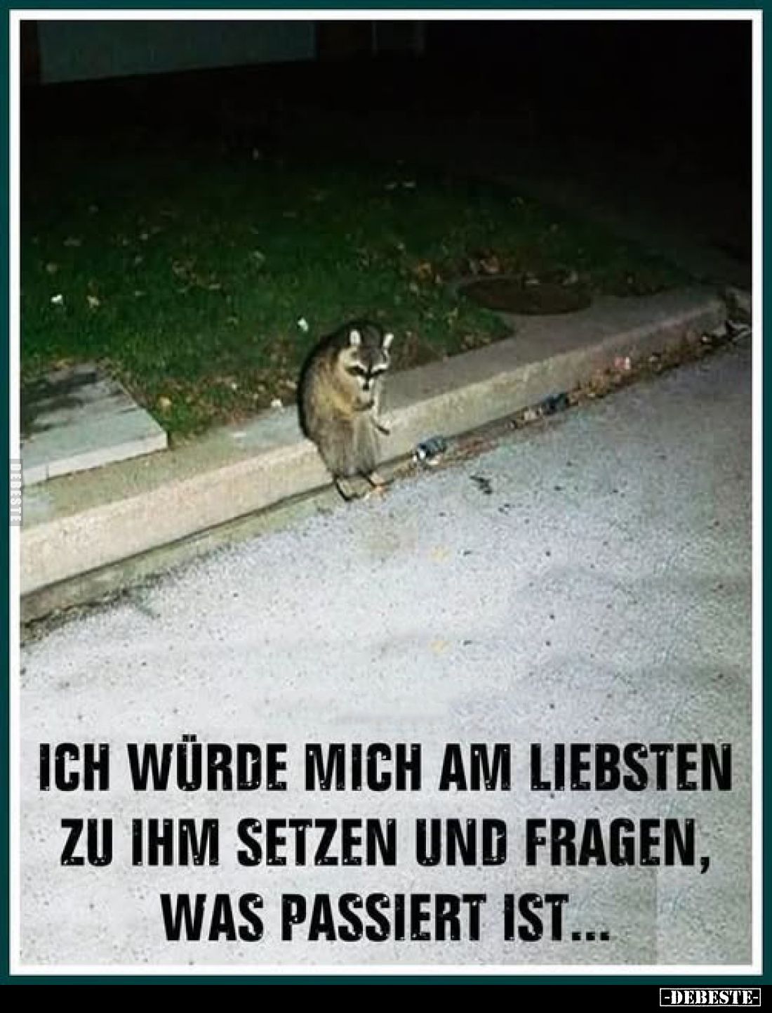 Ich würde mich am liebsten zu ihm setzen und fragen, was passiert ist...