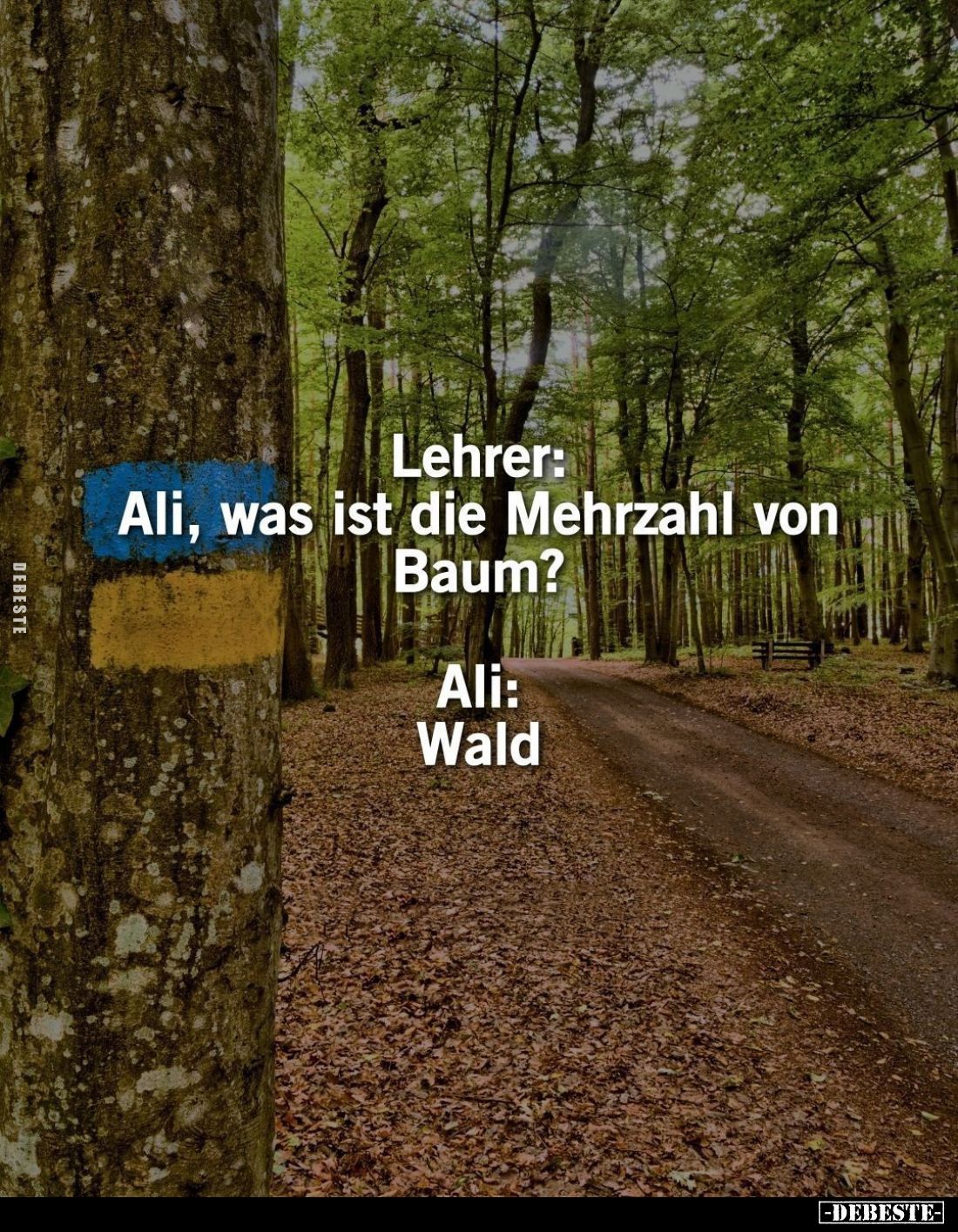 Lehrer: Ali, was ist die Mehrzahl von Baum? -
Ali: Wald.