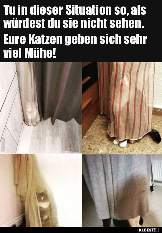 DEBESTE.de Lustige Bilder, Witze, Videos und fb Sprüche