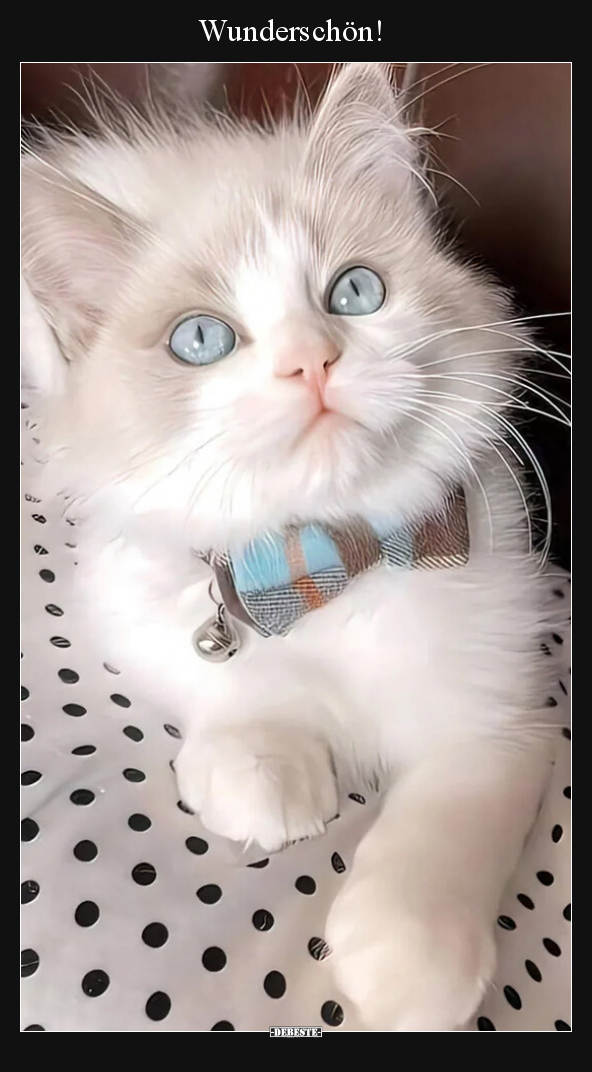 Wunderschön!