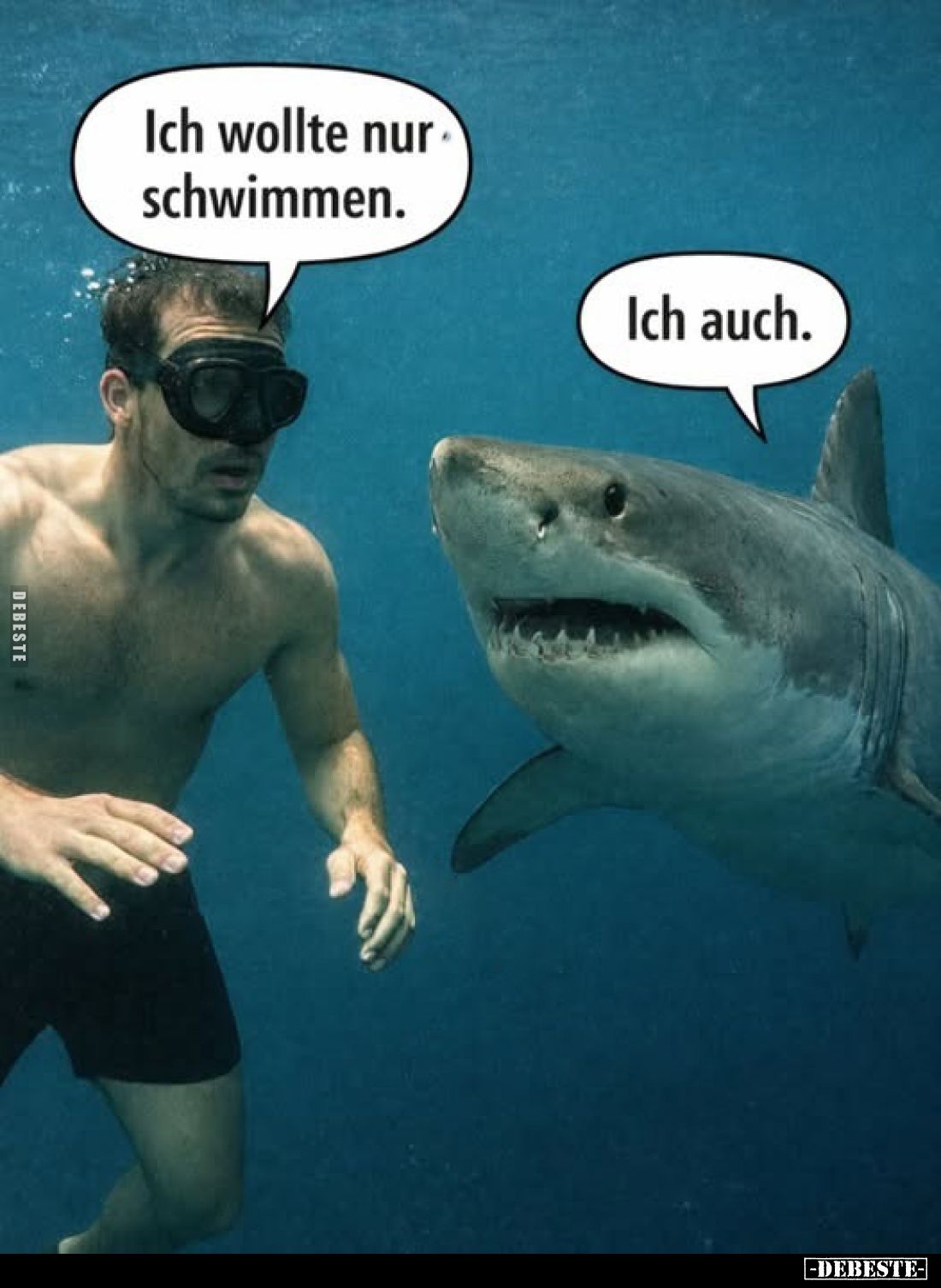 Ich wollte nur schwimmen. Ich auch.. - Lustige Bilder | DEBESTE.de