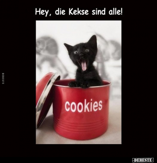 Hey, die Kekse sind alle!.. - Lustige Bilder | DEBESTE.de