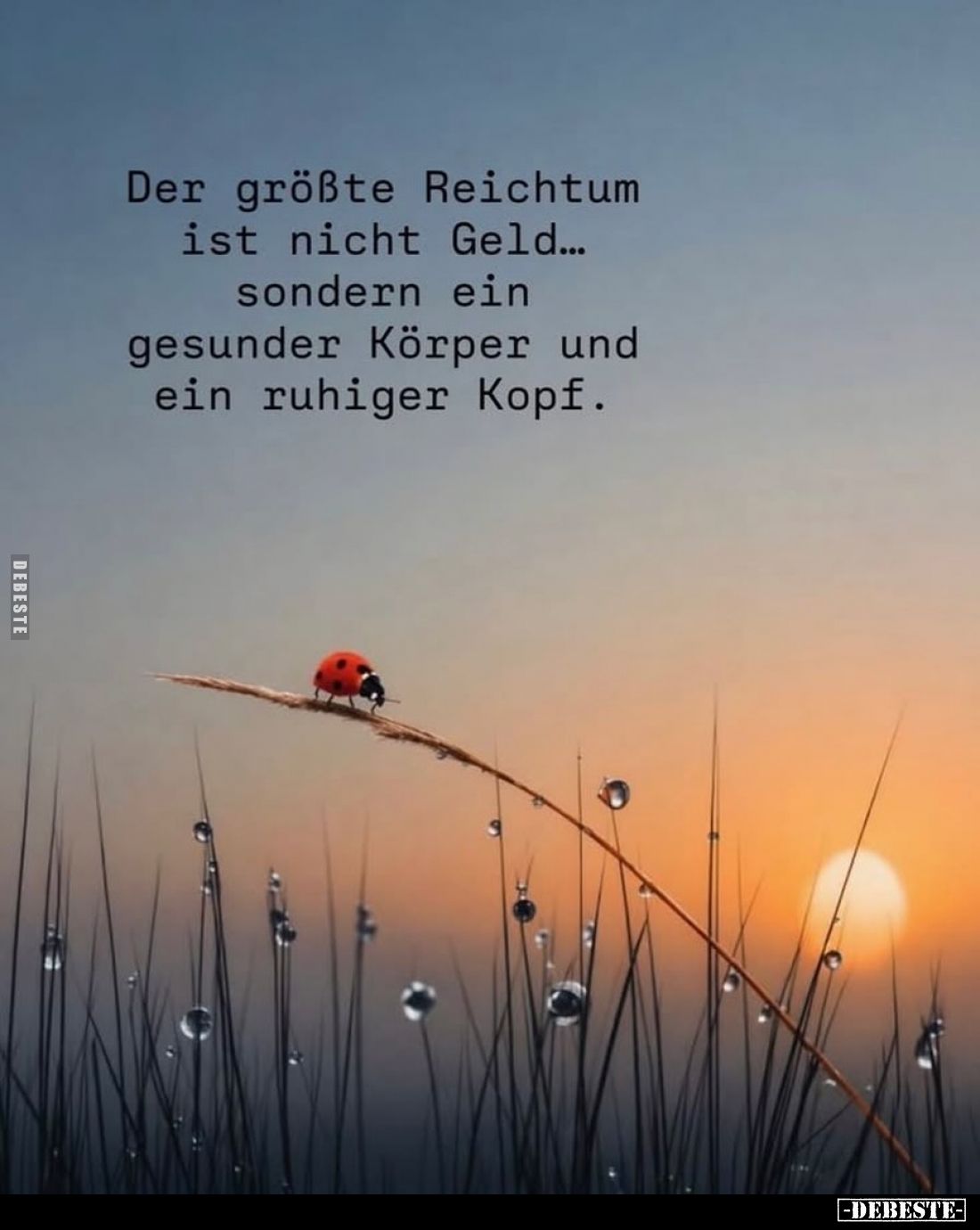 Der größte Reichtum ist nicht Geld... sondern ein gesunder Körper und ein ruhiger Kopf.