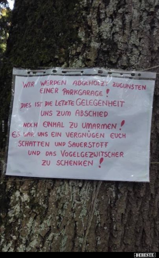Wir werden abgeholzt, zugunsten einer Parkgarage! Dies ist.. - Lustige Bilder | DEBESTE.de