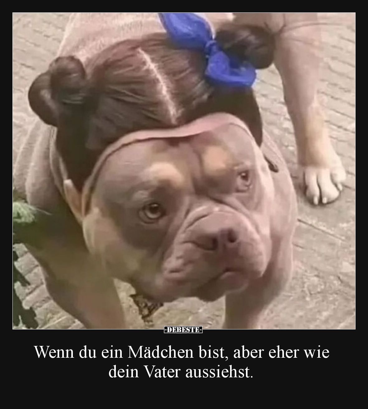 Wenn du ein Mädchen bist, aber eher wie dein Vater aussiehst.
