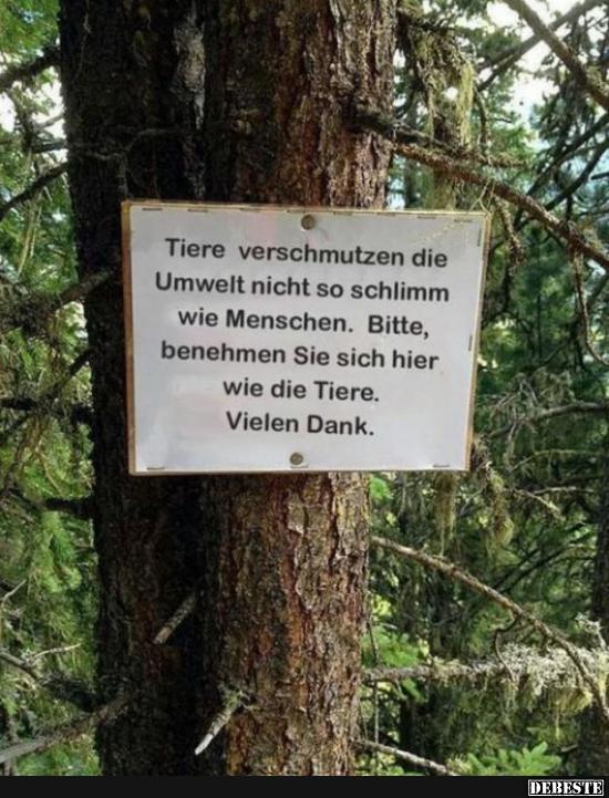 Tiere verschmutzen die Umwelt nicht so schlimm.. - Lustige Bilder | DEBESTE.de