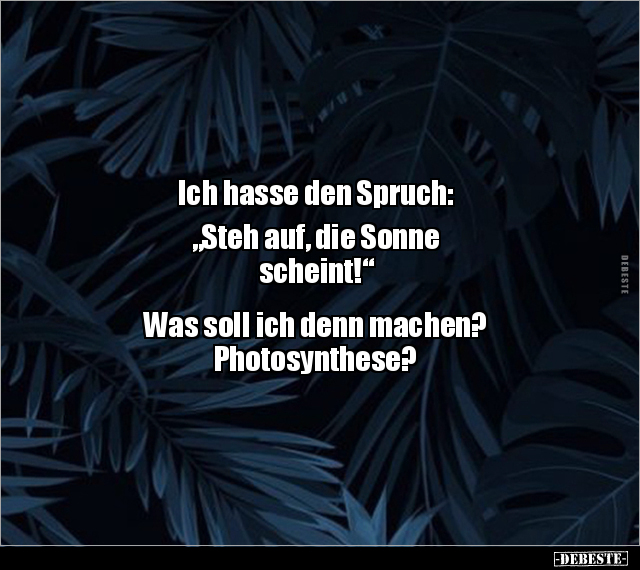 Ich hasse den Spruch: "Steh auf, die Sonne.." - Lustige Bilder | DEBESTE.de