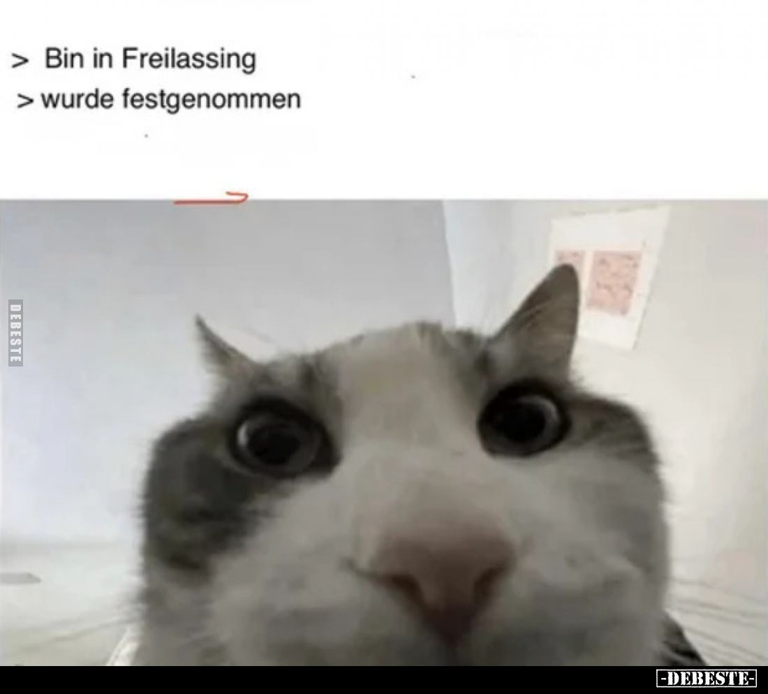 - Bin in Freilassing - wurde festgenommen