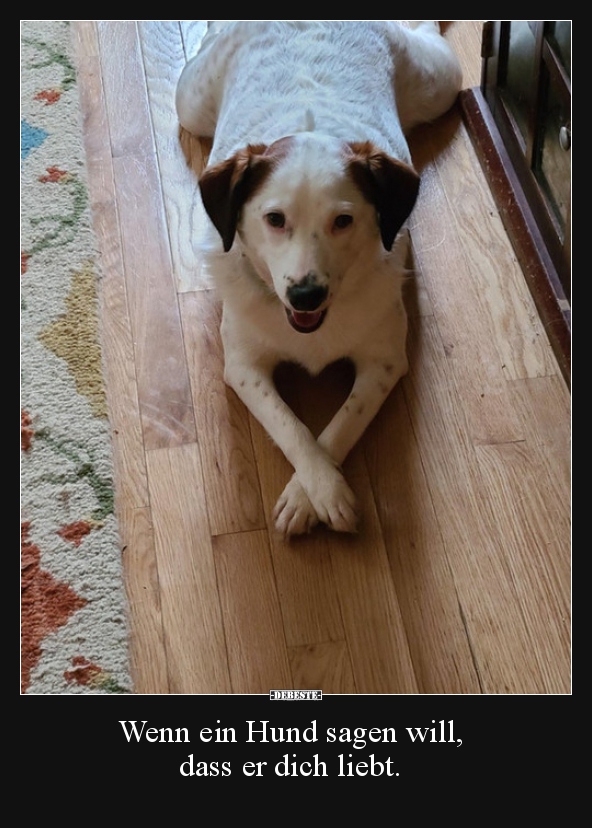 Wenn ein Hund sagen will, dass er dich liebt...